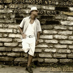 Mr. Gato Edit - Es Rico