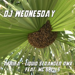 DJ Wednesday - AFRIKA (Liquid Stranger Rmx Feat. MC Shells)