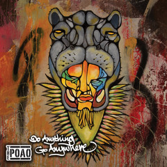 The Public Opinion Afro Orchestra - Boom Boom