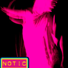 Notic Nastic - Stupid Happy