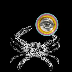 Yoko San - Acid Stepper  (FREE DOWNLOAD)