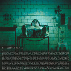 03 - Subdued Voices