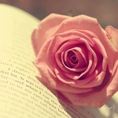 Hoa Hong Tang Me (Radio 1)