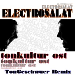 EleCtroSalat - Tonkultur Ost (TonGeschwuer Remix)