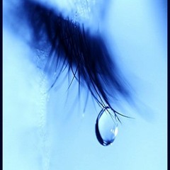 ☜♫☞分享☜♫☞⊹⊱51⊰⊹☜♫☞Share☜♫☞