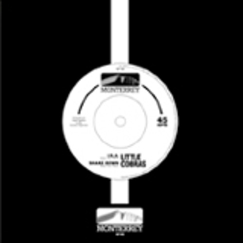 THE HOLLERS - Sinking Low