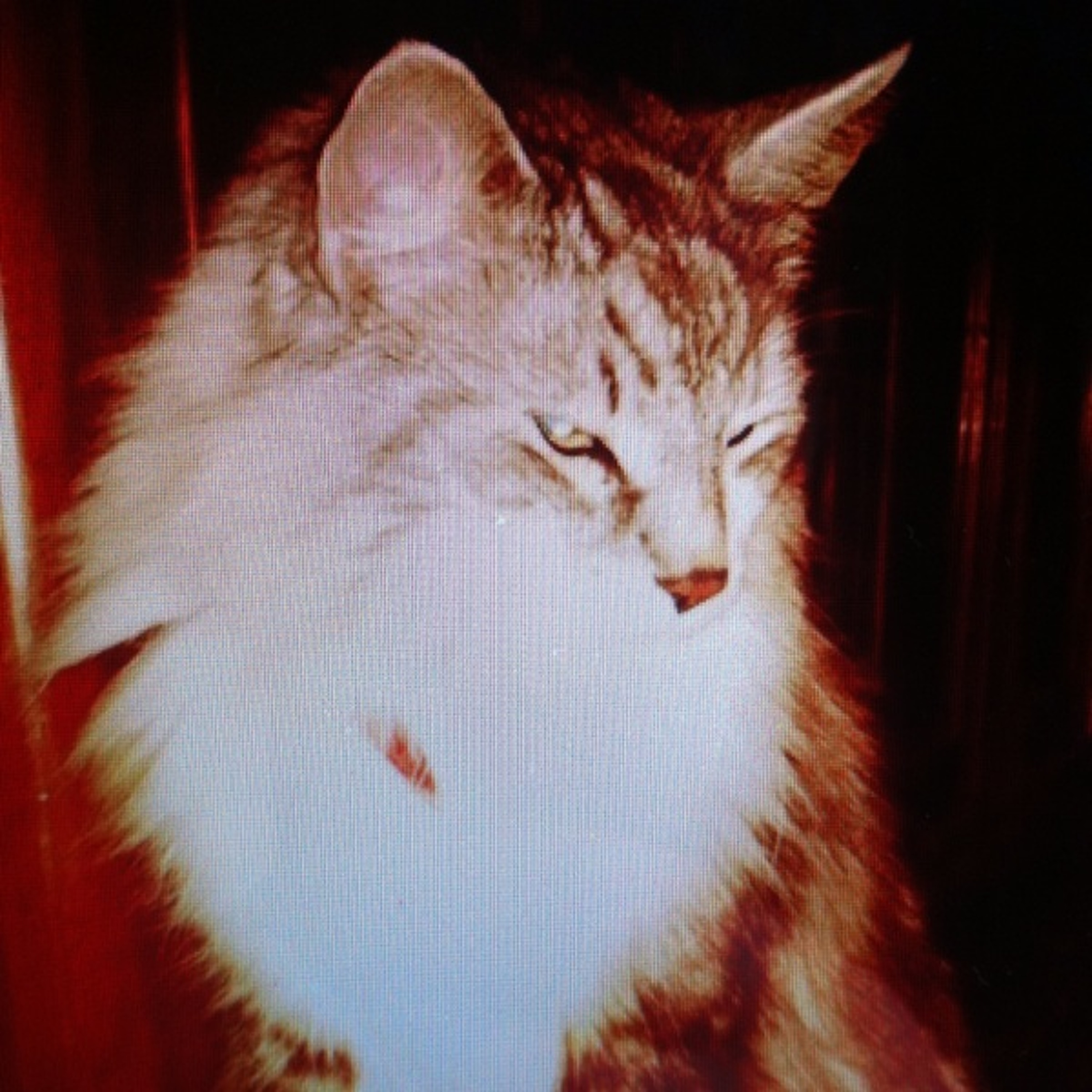 TS Eliot - The Naming Of Cats at emasalo episode artwork
