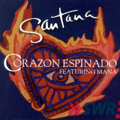 Mana - Corazon Espinado (Dj Cesar Landeros Flavor Mix)