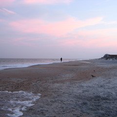 01 In the Fading Light