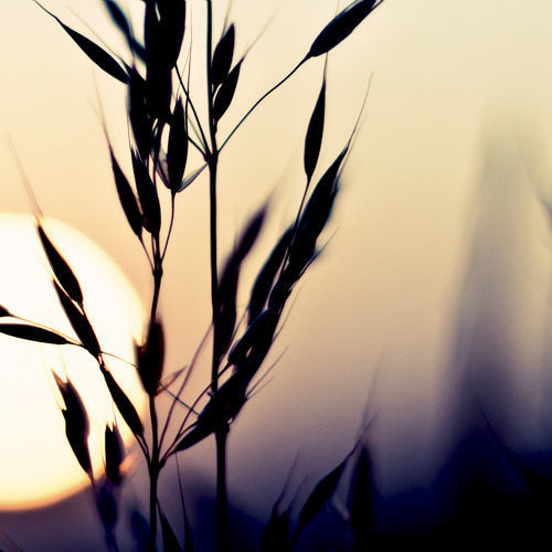 Tritonal - Slow Down (Smile Remix by Staind)