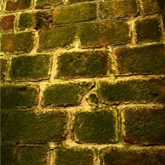 Wall Of Glory (Liveset 2010)