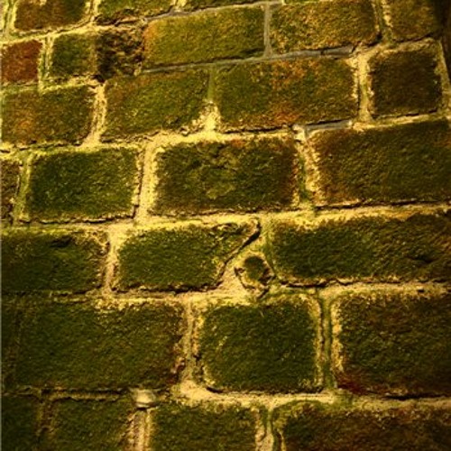 Wall Of Glory (Liveset 2010)