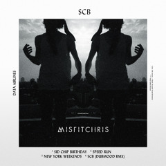 04-MisfitChris - SID Chip Birthday-(Dubmood Remix)