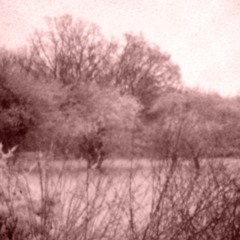 The unofficial best of 8bc according to Downstate