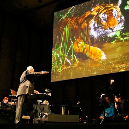 Tiger Psalms