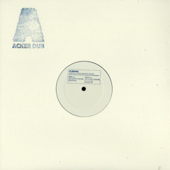 Acker Dub 009 A2 Lake People - Beenstish - FLUGAAL EP