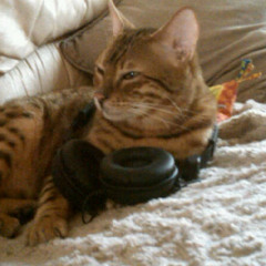 Laydee Dee Bass Affirmation 30.07.11