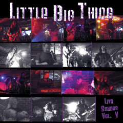 Little Big Thing - Willin'