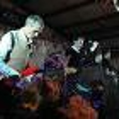 The Wild Swans - Dark Times