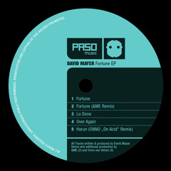 David Mayer - Harun (ONNO On Acid  Remix / Extract)