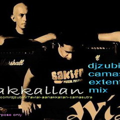 Avial - Aanakkallan (dj zubin's camasutra mashup rock n roll mix)