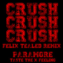 Paramore - Crush Crush Crush (FeF Dutch House Remix)