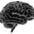Artwork for Brain Rape