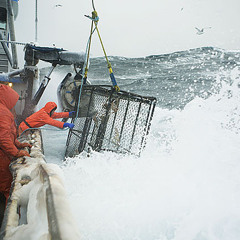 deadliest catch