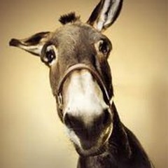 12 Yearold Maya Burns sings Different Drum