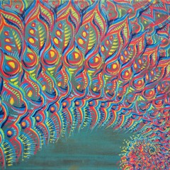 Animal Collective - Bees (Shadow Attack Remix)