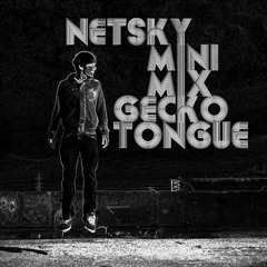 Netsky Mini Mix