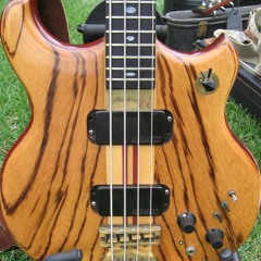 Dexter Bracket - Sweet Life