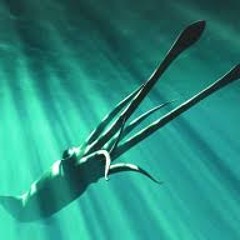 Into the deep mix set