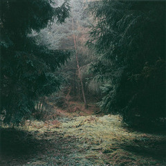 Field Trips - Fountain Of Dreams (MHYH Remix)