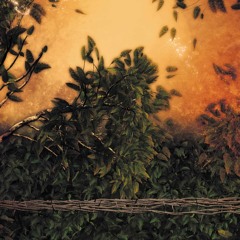 Nectar - Atrapados por el funk