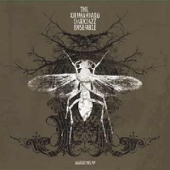 The Kilimanjaro Darkjazz Ensemble - Symmetry of 6's