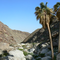 Arahat - Lost In The Desert - Psycircle Records