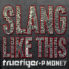 Slang Like This - True Tiger ft. P Money