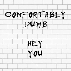 Comfortably Dumb - Hey You