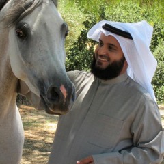 أنشودة ( ليلي ) مشاري العفاسي  من ألبوم بنات الريح 2011