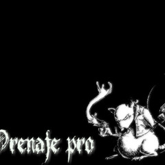 LA KARROÑA-GZ GAMBERROZ 2011