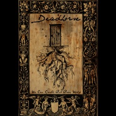 Last Night of the World