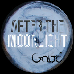 After The Moonlight (Original Contemporary Classical Version) - Excerpt