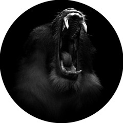 php056  soulphiction - freerotation I (philpot-records)