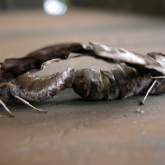 Betty (Feat. Cheryl Graham & Miles Davis)