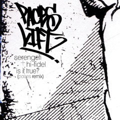 Serengeti and Hi-Fidel: Is It True? (Paces Lift Remix)