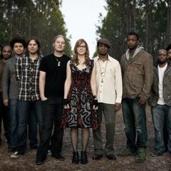 "Until You Remember" - Tedeschi Trucks Band (vinyl)