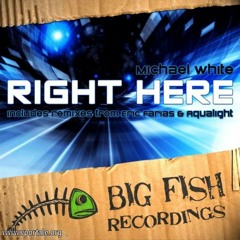Michael White - Right Here (Aqualight Remix) [Big Fish Records] (Cut Edit)