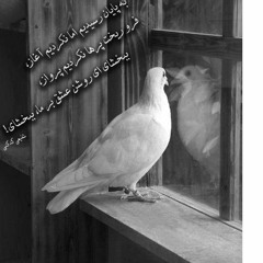 سوگواران خموش، آهنگساز: پژمان طاهری، خواننده: علیرضا قربانی، شاعر: محمد رضا شفیعی کدکنی