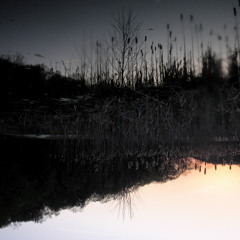 To Understand, Eventually